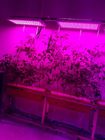 APOLO 20 600W Full Spectrum Led Plant Grow Light , LED Grow Lamp AC100-277V